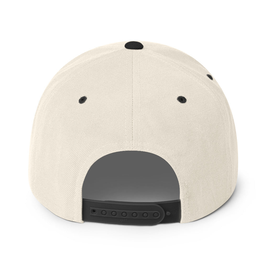 Underdog Snapback Hat