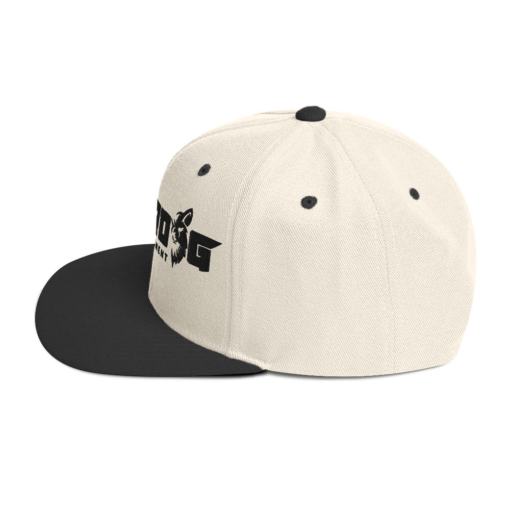 Underdog Snapback Hat